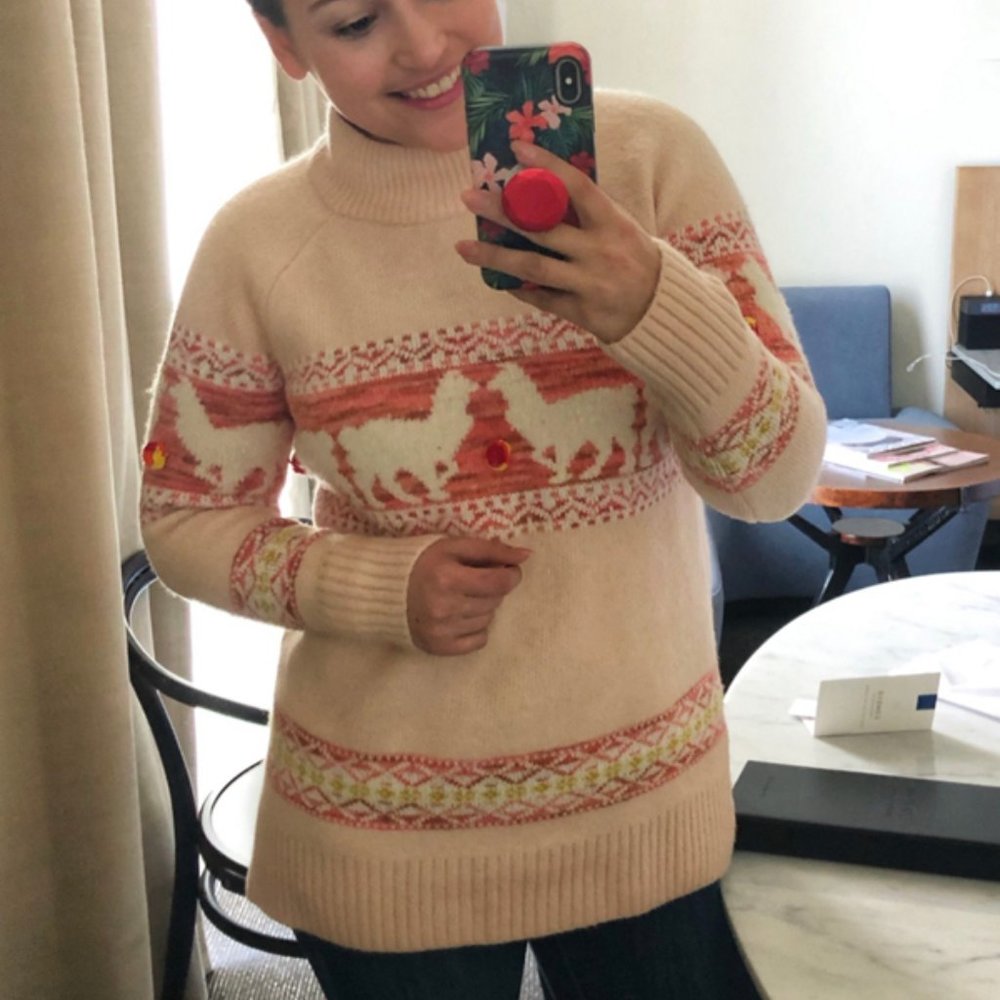 Anthropologie Aimee Pommed Alpaca Sweater - Picture 10 of 14